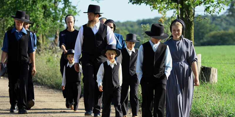 The Amish Factor The Thinking Housewife The Amish Factor The Thinking Housewife