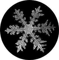 02c 02c