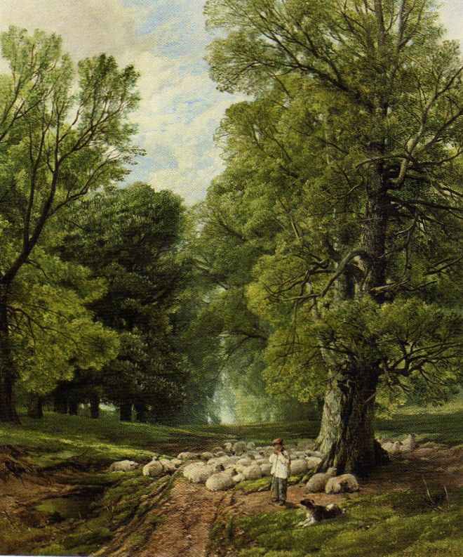 A Shepherd and His Flock, Frederick William Hulme